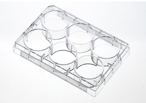 6 well CellATTACH Surface-treated Tissue Culture Plates, Sterilized, Case of 100 6 well CellATTACH Surface-treated Tissue Culture Plates, Sterilized, Case of 100