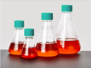 Erlenmyer Flasks