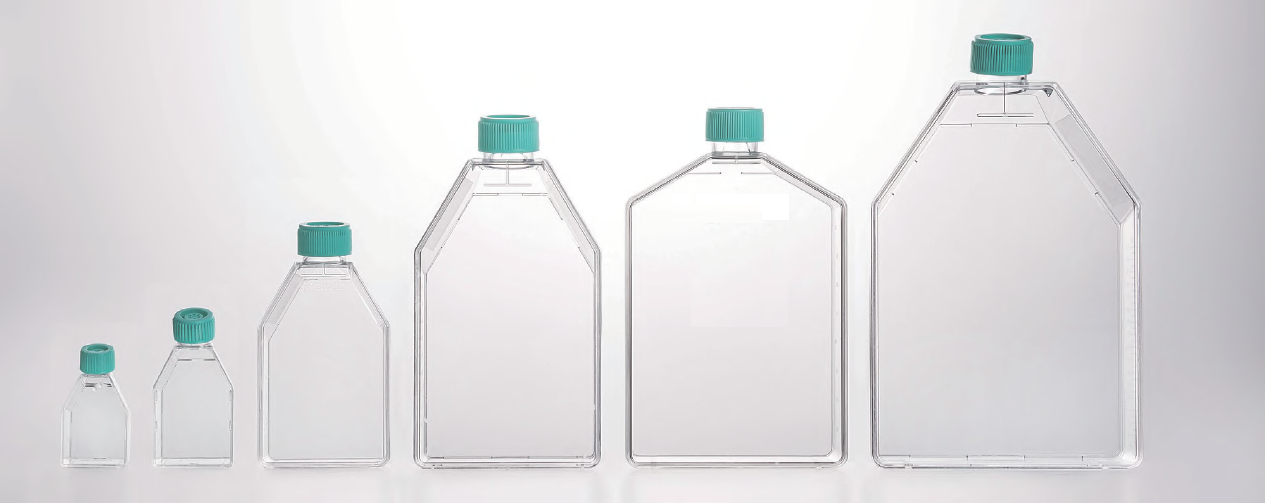 50mL T25 Tissue Culture Flasks, Surface-Treated, Plug Seal Cap, Case of 200