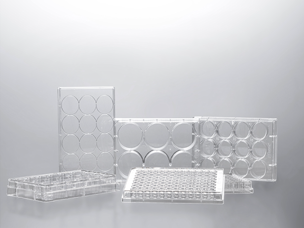 12-Well Non-Treated Tissue Culture Plates, Sterile, Flat Bottom, Case of 100