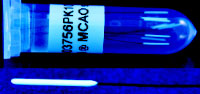 MCAO Sutures MCAO Sutures